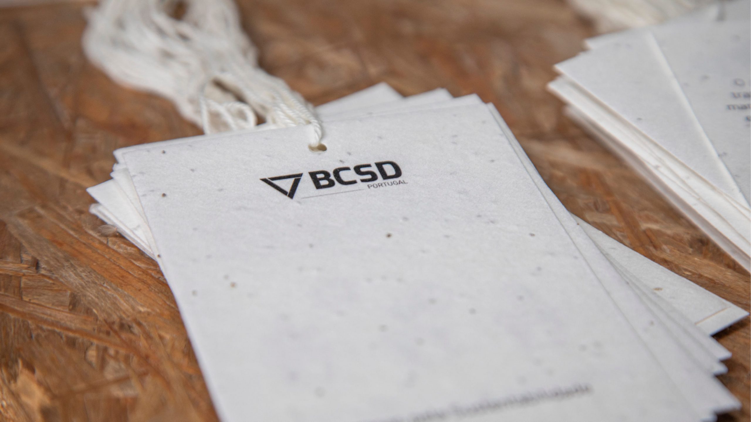 Direito Mental - BCSD Portugal